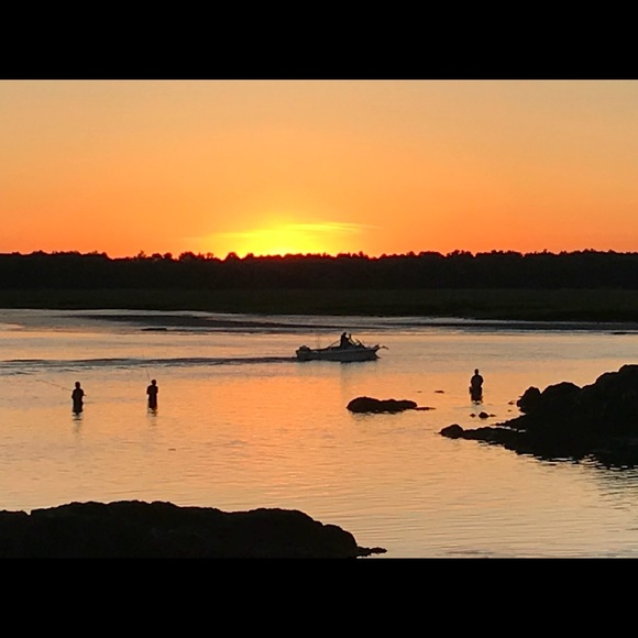 Meet your Posher, Pam - Picture 8 of 8